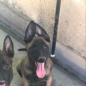 Meet your Posher, Xavier